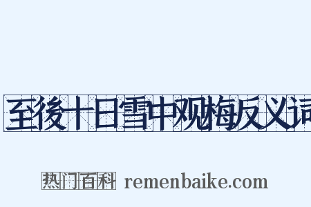 至後十日雪中观梅反义词是什么意思的图片